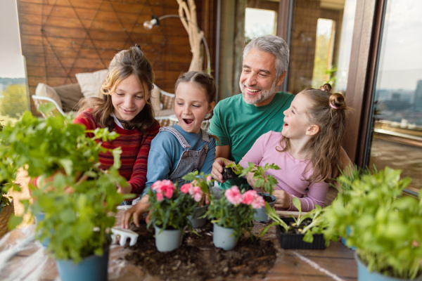 Three daughters helping a father to plant flowers, home gardening concept