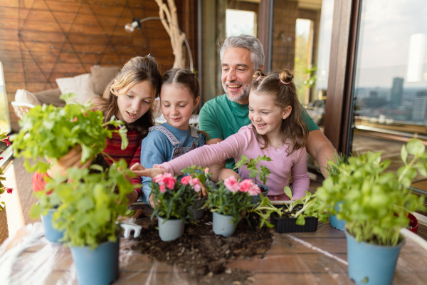 Three daughters helping a father to plant flowers, home gardening concept