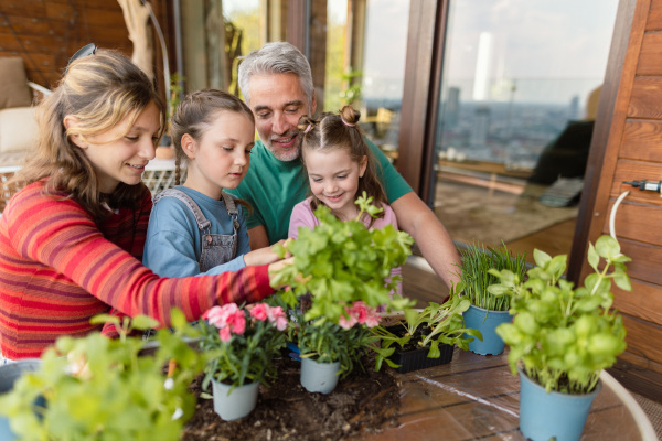 Three daughters helping a father to plant flowers, home gardening concept