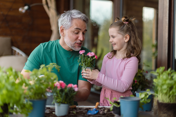 A little daughter helping father to plant flowers, home gardening concept