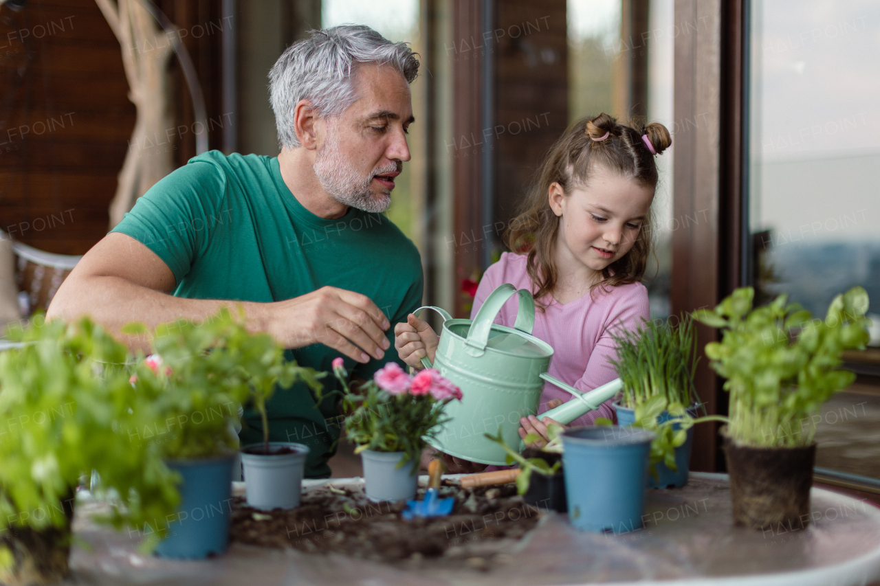 A little daughter helping father to plant and water flowers, home gardening concept