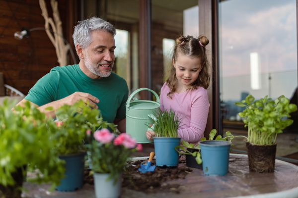 A little daughter helping father to plant and water flowers, home gardening concept