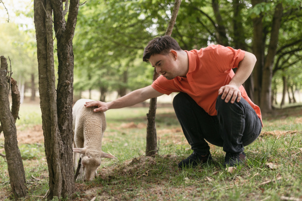 Happy young man with down syndrome caressing a sheep outdoors in park