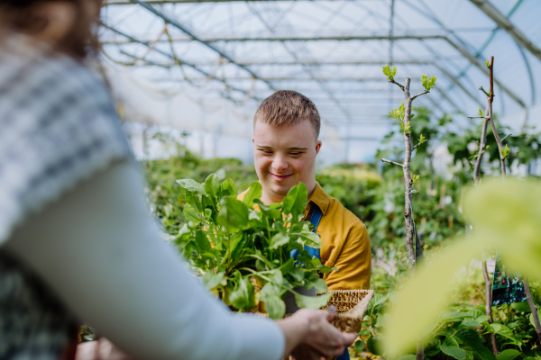 A young man with Down syndrome working in garden centre