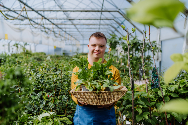 A young man with Down syndrome working in garden centre, carrying basket with plants.