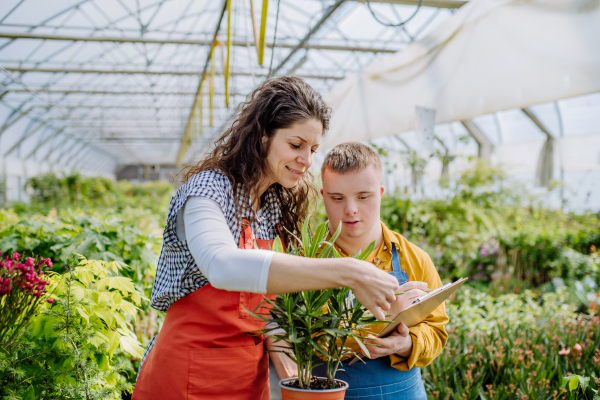 An experienced woman florist helping young employee with Down syndrome to check flowers on tablet in garden centre.