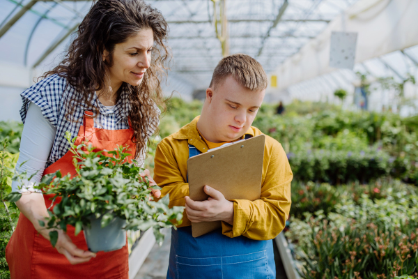 An experienced woman florist helping young employee with Down syndrome to check flowers on tablet in garden centre.