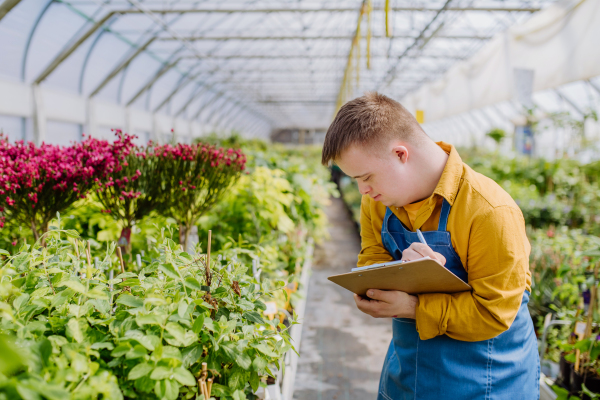 A young man with Down syndrome working in garden centre, holidng clipboard and checking plants.