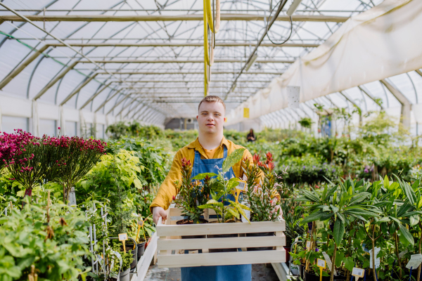 A young man with Down syndrome working in garden centre, carrying crate with plants.