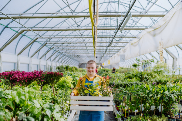 A young man with Down syndrome working in garden centre, carrying crate with plants.