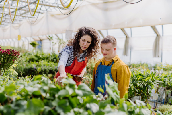 An experienced woman florist helping young employee with Down syndrome in garden centre.