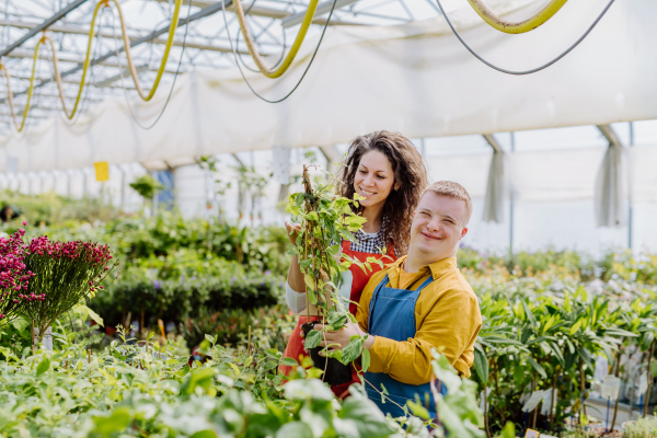 An experienced woman florist helping young employee with Down syndrome in garden centre.