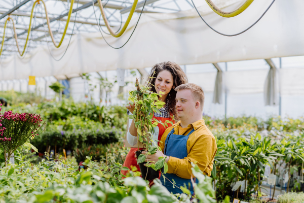 An experienced woman florist helping young employee with Down syndrome in garden centre.