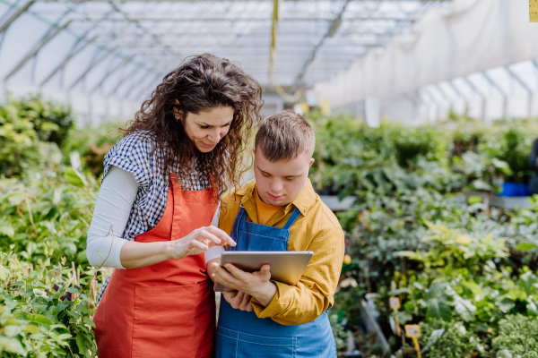 An experienced woman florist helping young employee with Down syndrome to check flowers on tablet in garden centre.