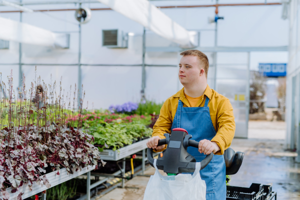 A young employee with Down syndrome working in garden centre, using hand pallet stacker.