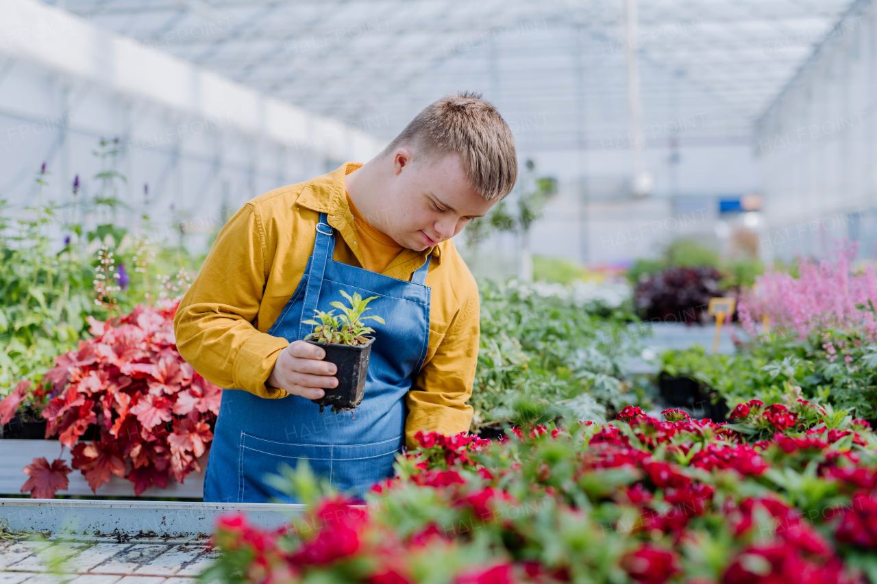 A happy young employee with Down syndrome working in garden centre, taking care of flowers.