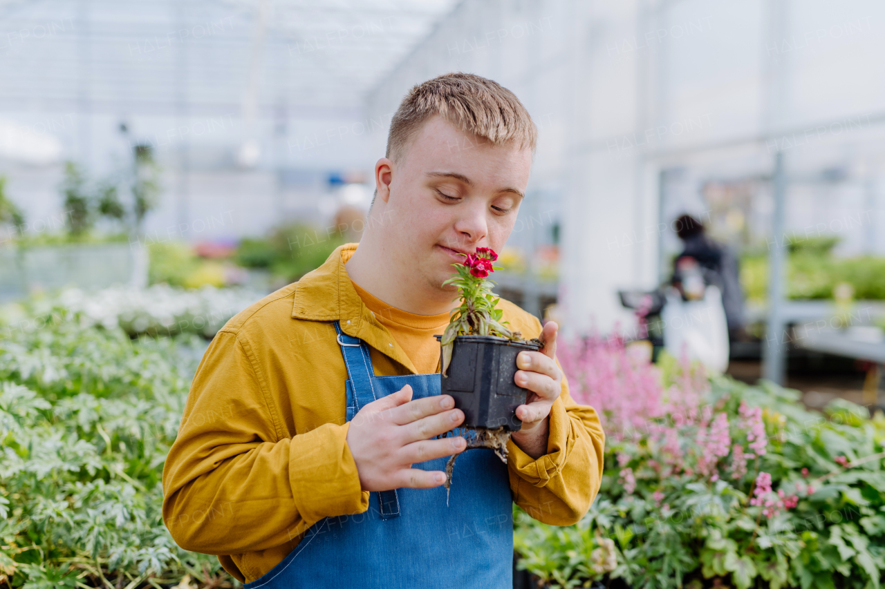 A happy young employee with Down syndrome working in garden centre, taking care of flowers.