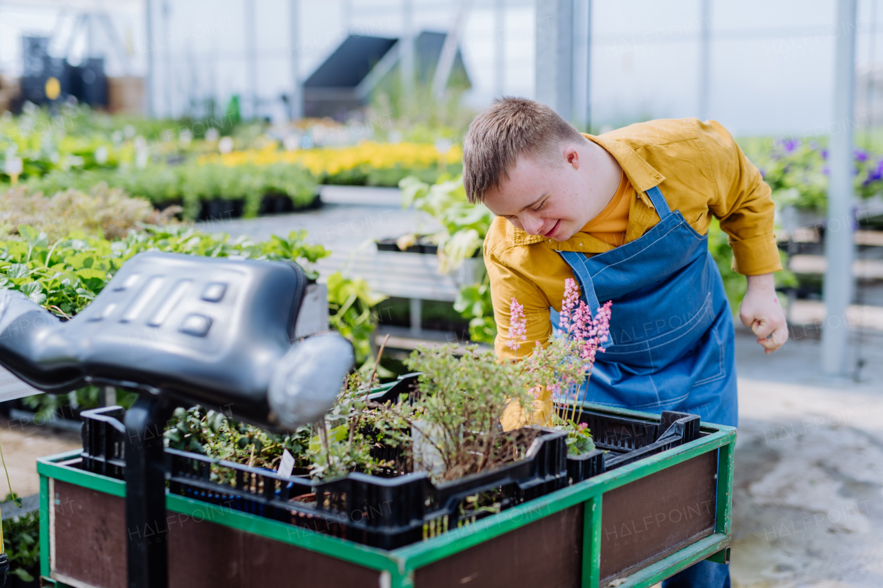 A happy young employee with Down syndrome working in garden centre, taking care of flowers.