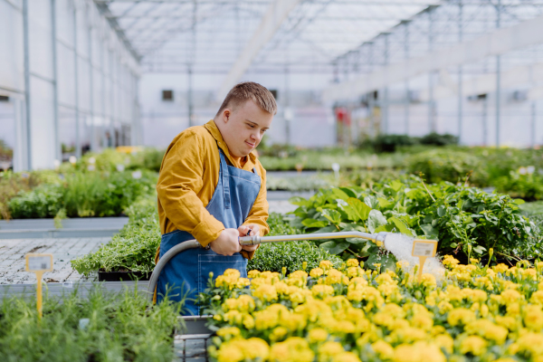 A happy young employee with Down syndrome working in garden centre, watering plants with a shower head and hose.