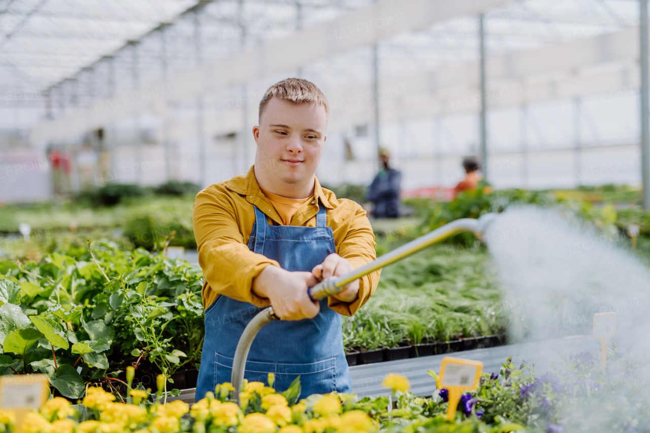 A happy young employee with Down syndrome working in garden centre, watering plants with a shower head and hose.