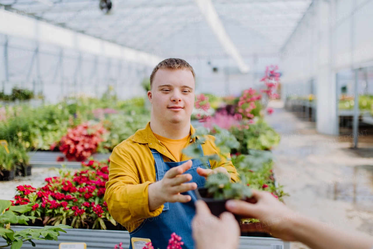 A happy young employee with Down syndrome working in garden centre, taking care of flowers.