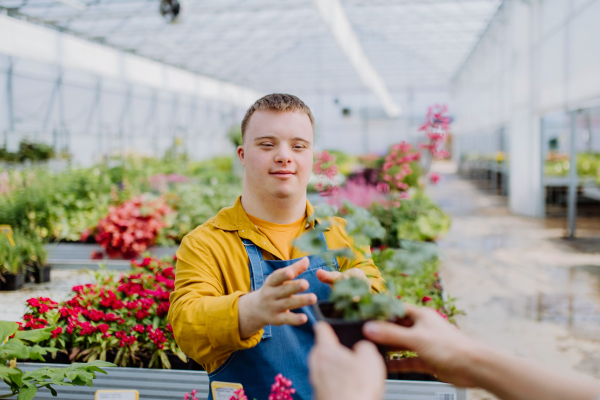 A happy young employee with Down syndrome working in garden centre, taking care of flowers.