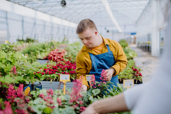 A happy young employee with Down syndrome working in garden centre, taking care of flowers.