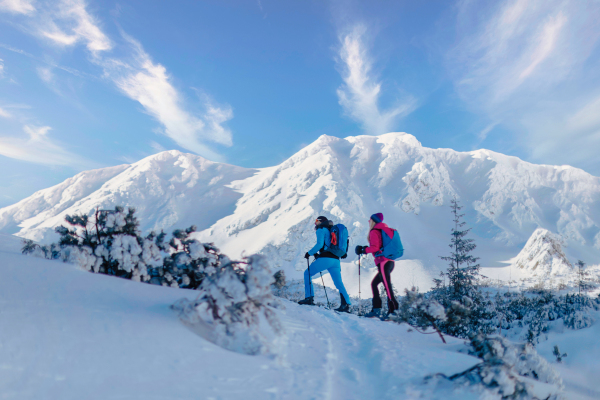 A low angle view of ski touring couple hiking up in mountains.