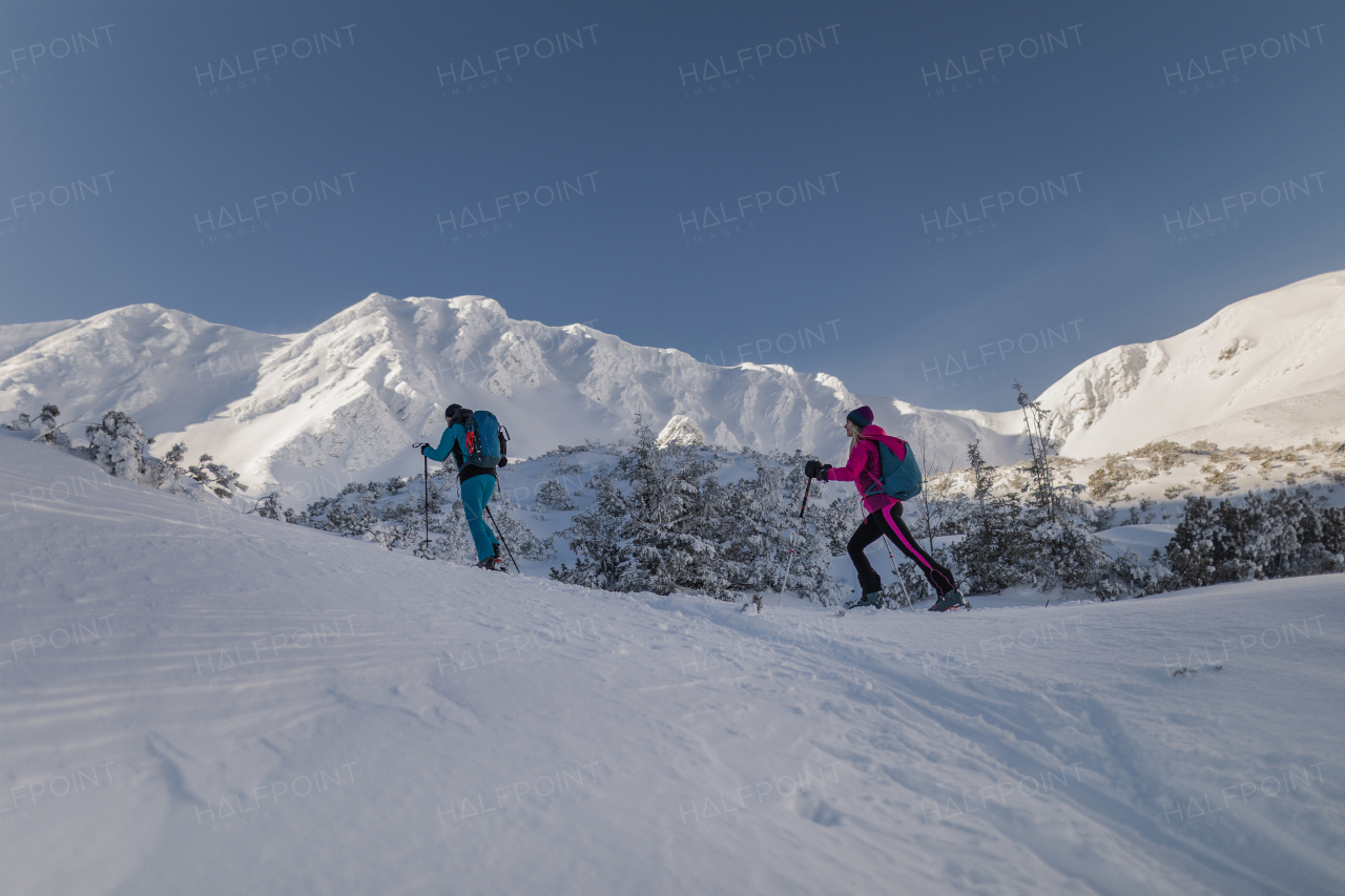 A low angle view of ski touring couple hiking up in mountains.