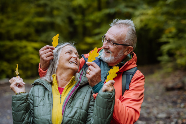 Portrait of happy senior couple with autumn leaves in a forest.