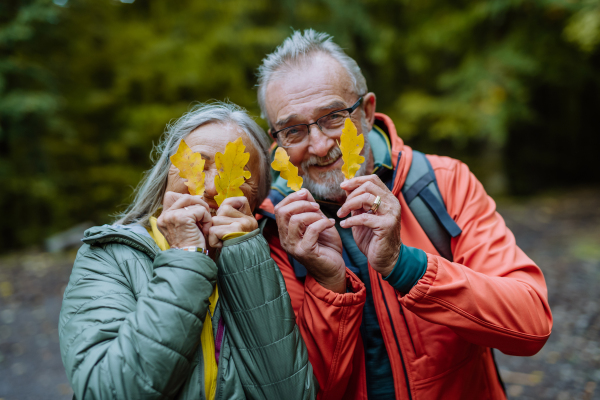 Portrait of happy senior couple with autumn leaves in a forest.