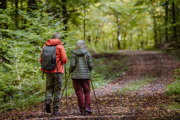 Rear view of senior couple hiking in autumn nature.