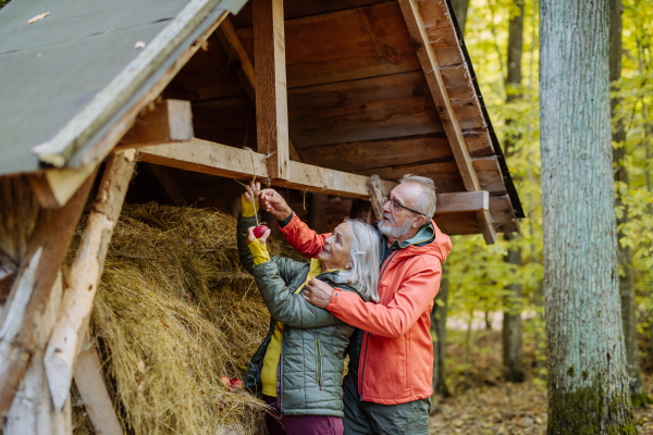 Senior couple hanging apples at animal feeder in forest.