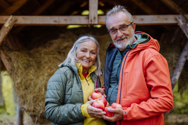 Senior couple giving apples at animal feeder in forest.