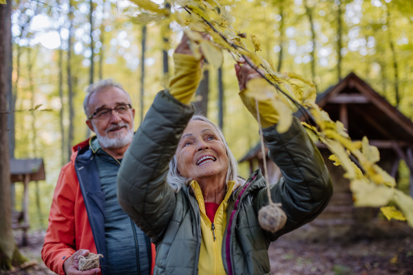 Senior couple hanging bird food ball near animal feeder in forest.