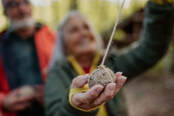 Senior couple hanging bird food ball near animal feeder in forest.