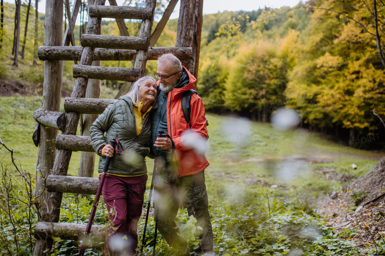 Happy senior couple walking in autumn forest near hunting high seat.