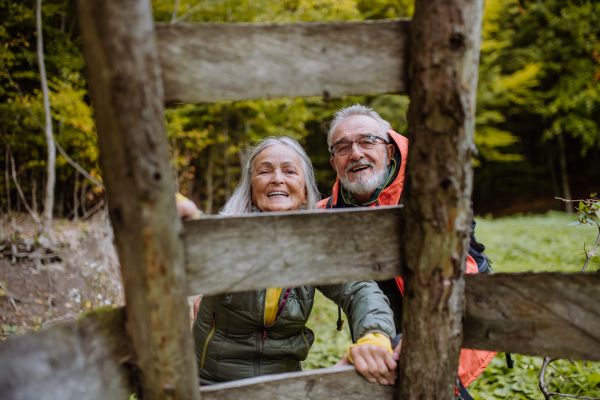 Happy senior couple climbing at hunting high seat in forest.