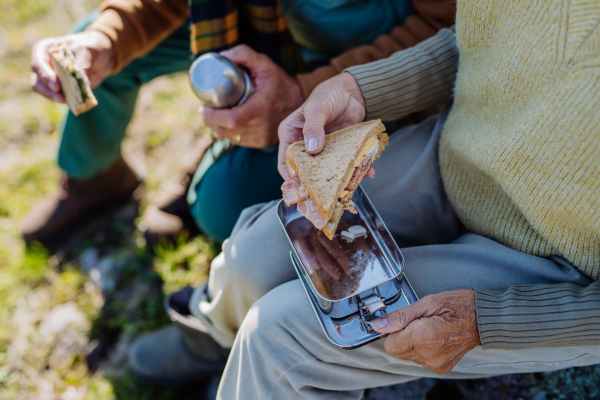 Close-up of a seniors lunch during autumn walk.