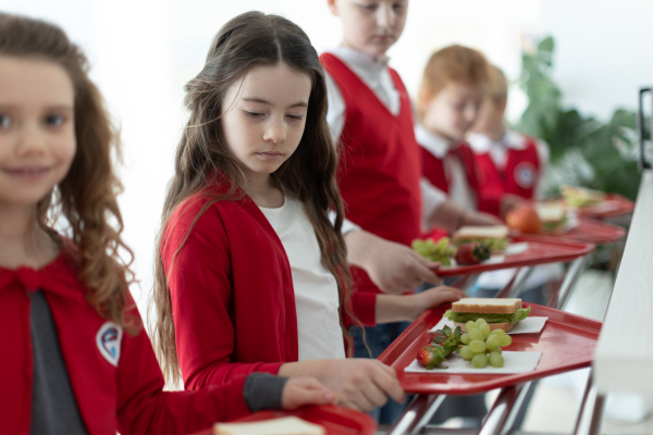 Happy schoolchildren standing in a queue with trays and receiving lunch in school canteen.