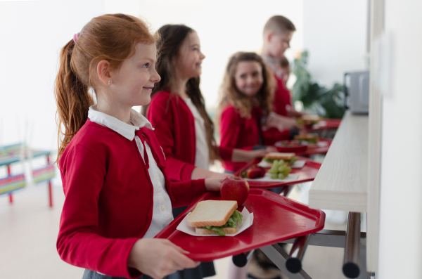 Happy schoolchildren standing in a queue with trays and receiving lunch in school canteen.