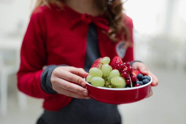 Close-up of schoolchild having healthy lunch in school canteen.