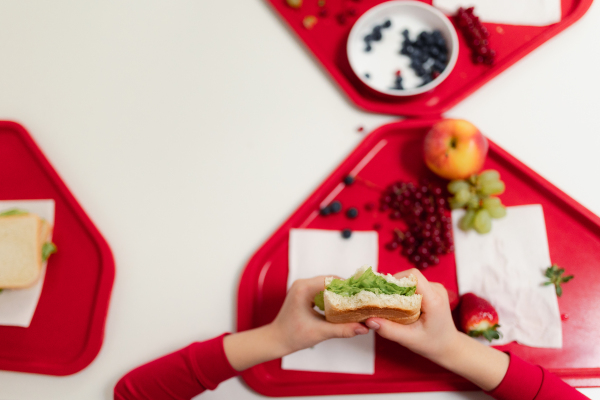 A top view of schoolchild having healthy lunch in school canteen.