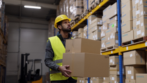 Warehouse worker stocking goods in warehouse.