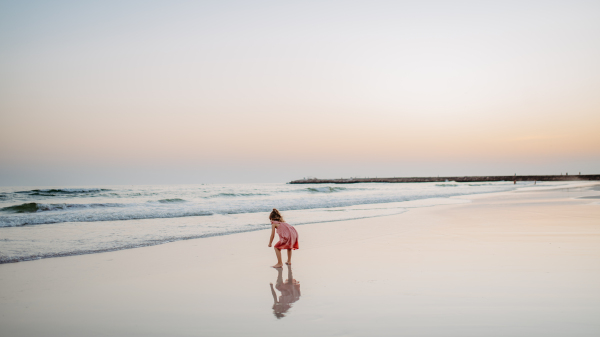 Little girl looking for shells on a beach, enjoying exotic vacation.