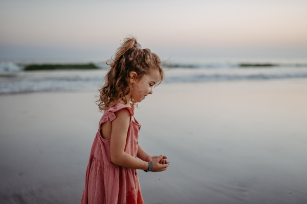 Little girl looking for shells on a beach, enjoying exotic vacation.