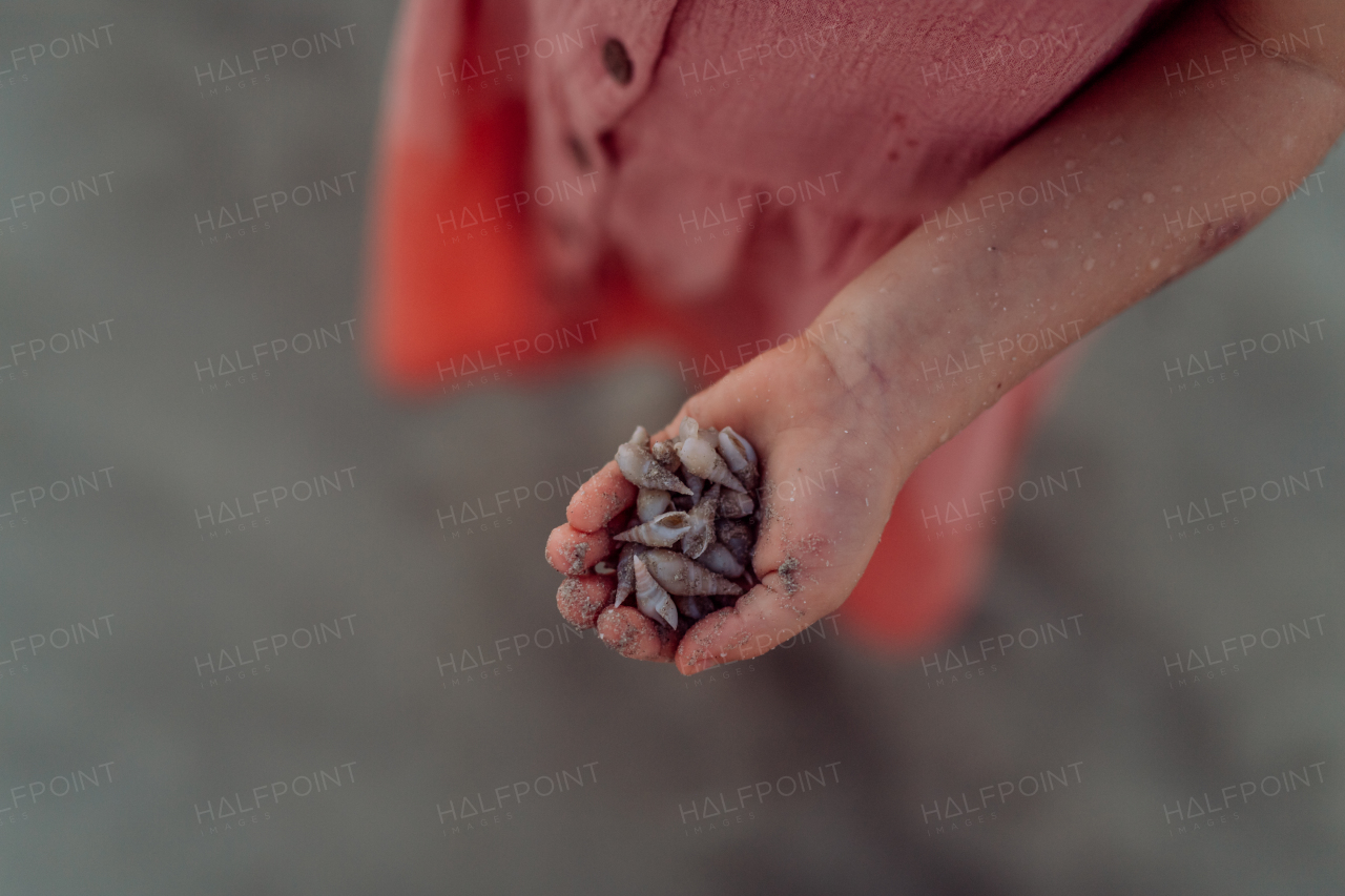 Close-up of little girl holding shells on a beach.