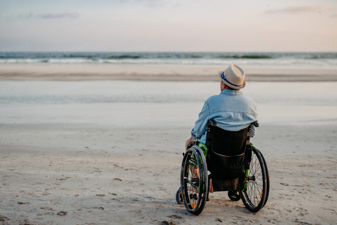 Rear view of man sitting on wheelchair and enjoying view at the sea.