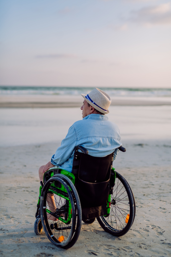 Rear view of man sitting on wheelchair and enjoying view at the sea.