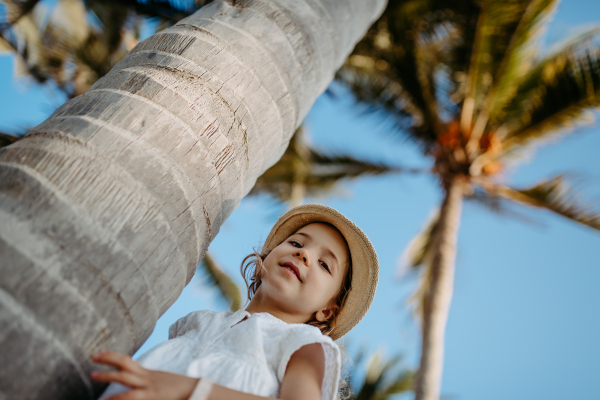 Happy little girl hugging palm tree during the tropical vacation.